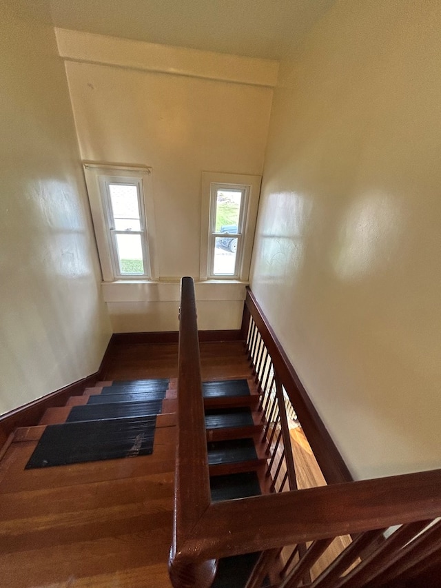 stairs with hardwood / wood-style floors and a healthy amount of sunlight