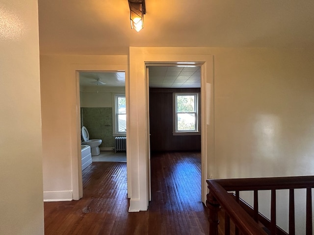 hallway featuring dark hardwood / wood-style flooring and radiator