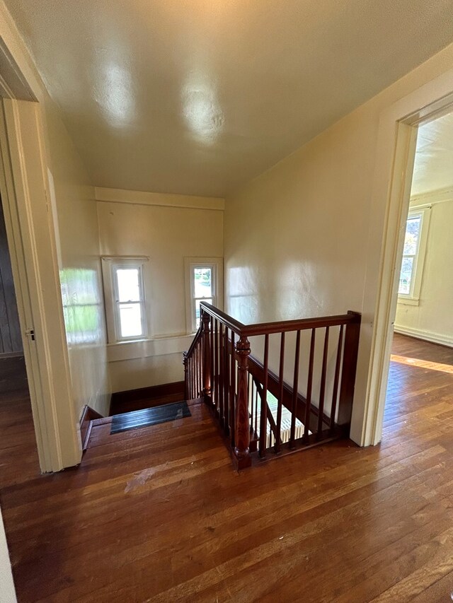 interior space featuring hardwood / wood-style floors