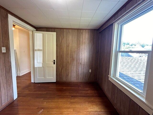 empty room featuring dark wood-type flooring and wooden walls