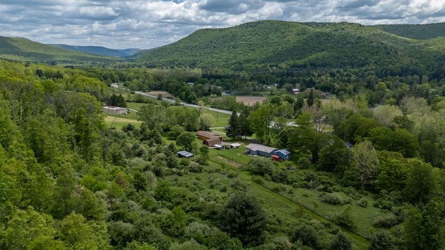 23 Barnhart Corners Rd, Gaines, PA 16921 - photo 69