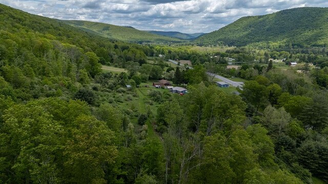 23 Barnhart Corners Rd, Gaines, PA 16921 - photo 75