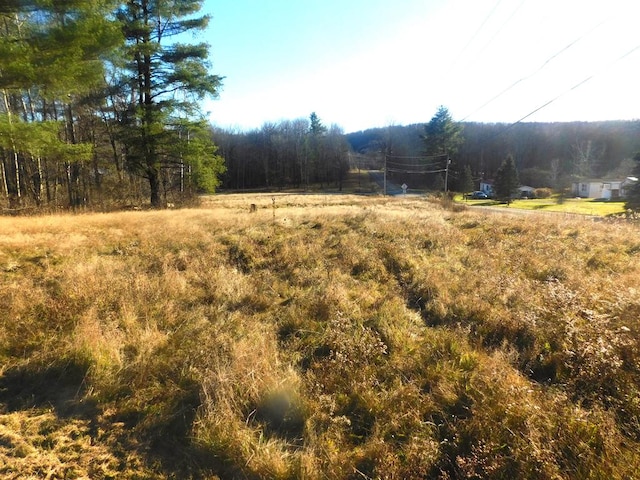 0 Lakeside Dr, Sayre PA, 18840 land for sale