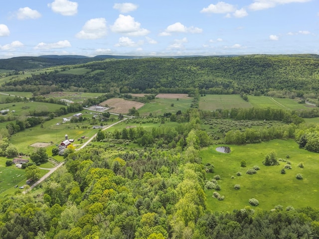 17899 Rte 6, Towanda, PA 18848 - overview of rural landscape featuring a forest