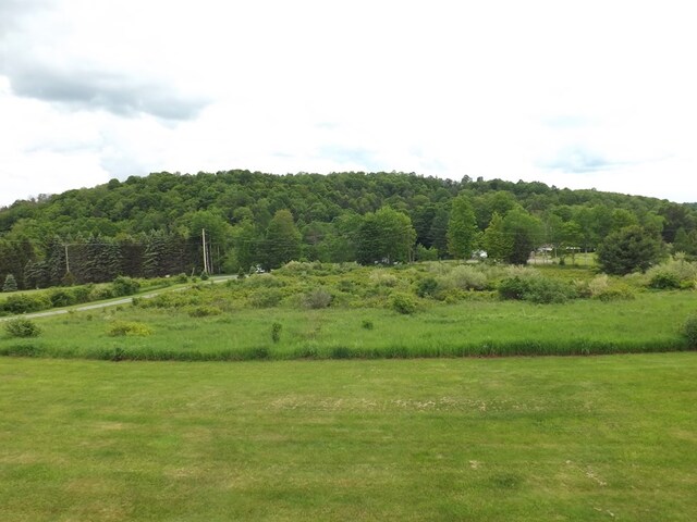 115 Dutch Mountain Rd, Dushore, PA 18614 - photo 48