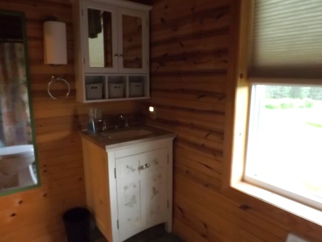 115 Dutch Mountain Rd, Dushore, PA 18614 - photo 16