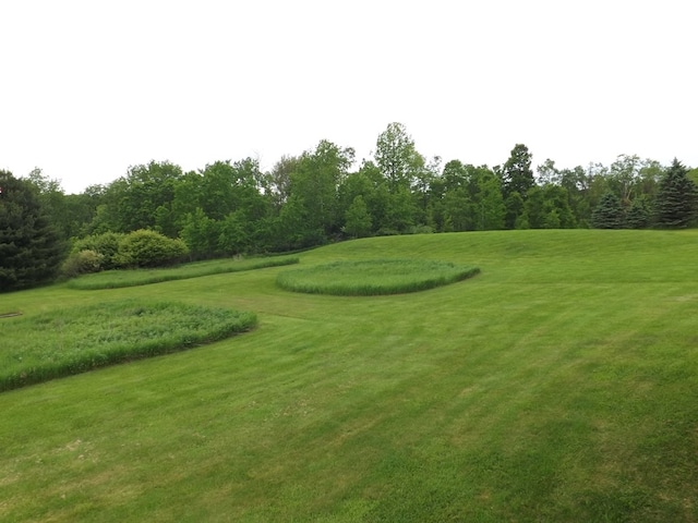 115 Dutch Mountain Rd, Dushore, PA 18614 - photo 49