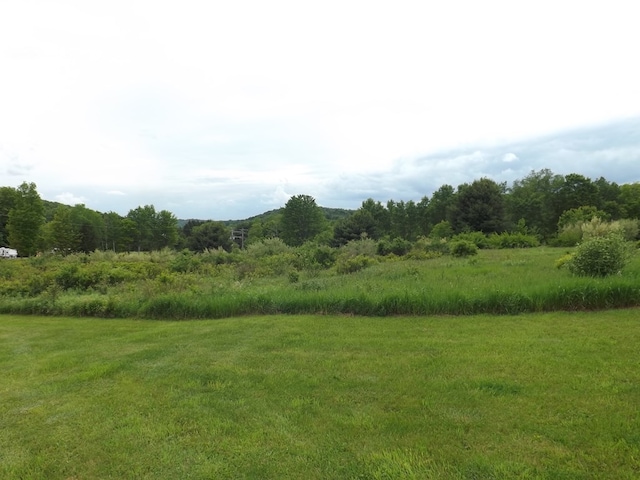 115 Dutch Mountain Rd, Dushore, PA 18614 - photo 50