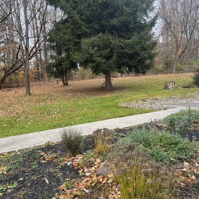 122 Village Dr, Lawrenceville, PA 16929 - photo 4