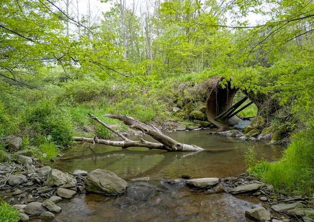 LotA Buckwheat Hollow Road, Lawrenceville, PA 16929 - photo 5