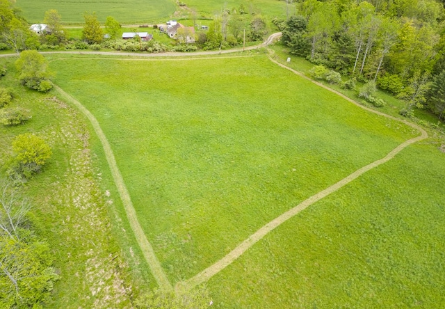 LotA Buckwheat Hollow Road, Lawrenceville, PA 16929 - photo 15