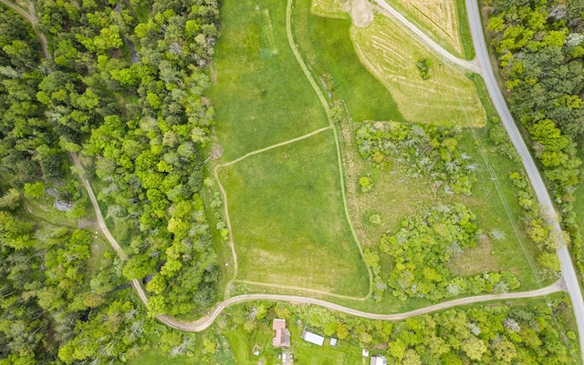 LotA Buckwheat Hollow Road, Lawrenceville, PA 16929 - photo 18