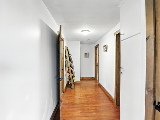 679 Walker Hill Rd, Waverly, NY 14892 - photo 14