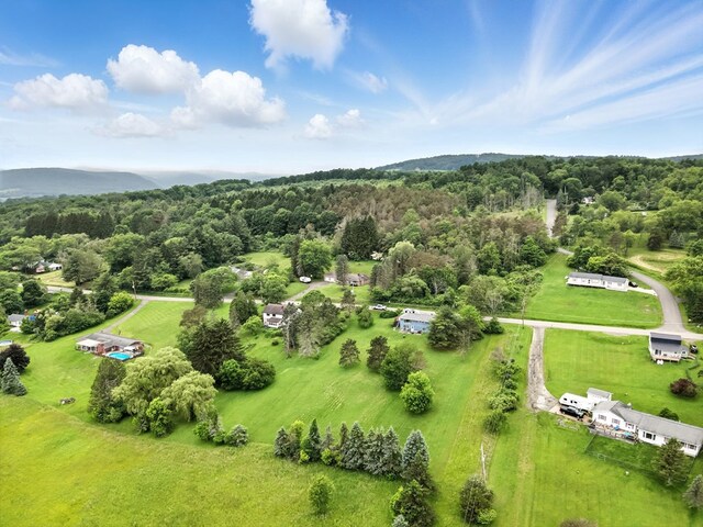 679 Walker Hill Rd, Waverly, NY 14892 - photo 35