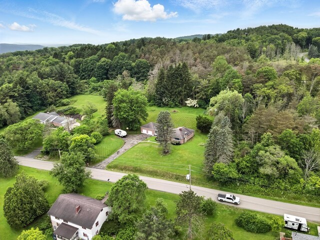 679 Walker Hill Rd, Waverly, NY 14892 - photo 30