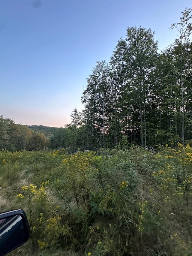 0 Lockwood Run Rd, Lockwood NY, 14859 land for sale