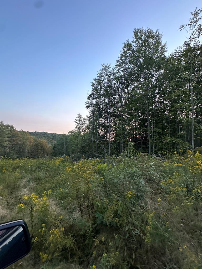 0 Lockwood Run Rd, Lockwood, NY 14859 - photo 1