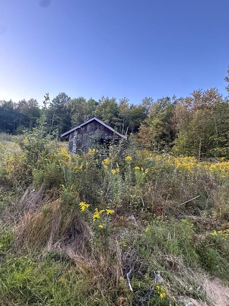 0 Lockwood Run Rd, Lockwood, NY 14859 - photo 2