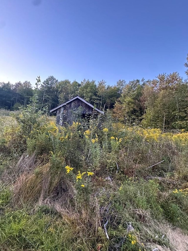 0 Lockwood Run Rd, Lockwood, NY 14859 - photo 2