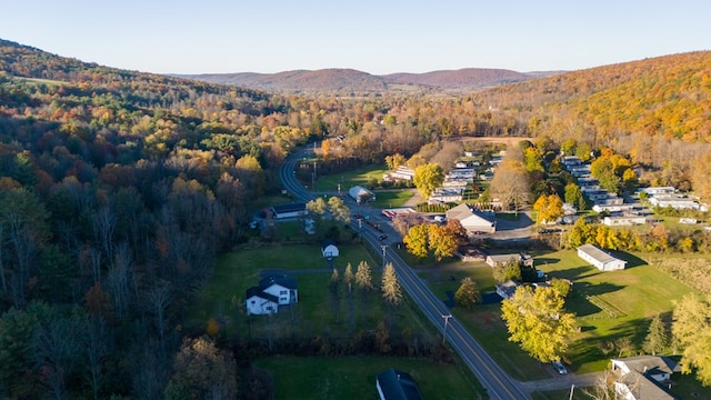 bird's eye view with a mountain view