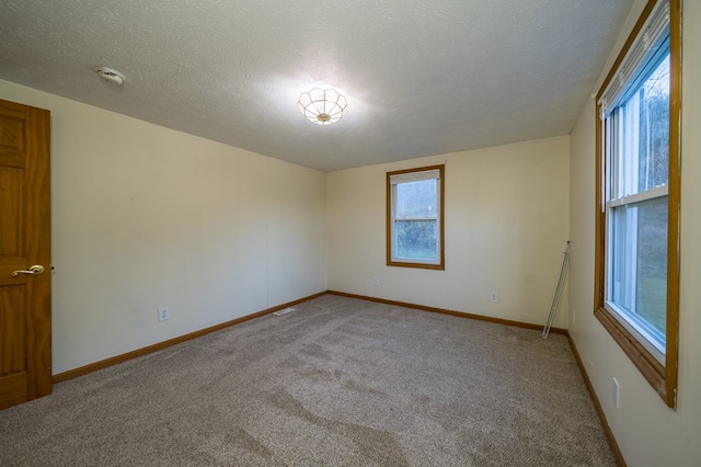 empty room with a wealth of natural light, light carpet, and a textured ceiling