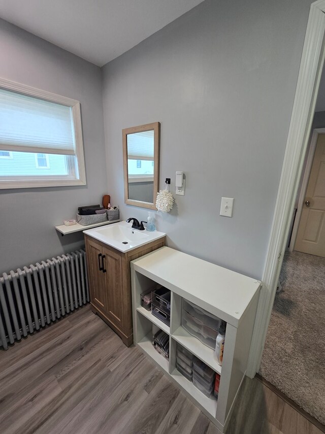 97 Lincoln St, Sayre, PA 18840 - clothes washing area with radiator, light wood finished floors, and a sink