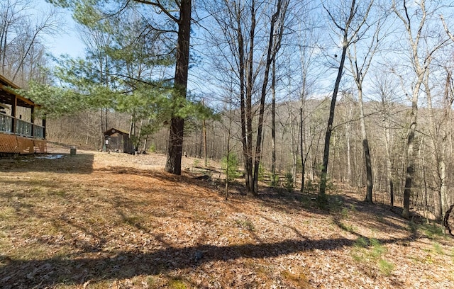 169 Horton Hollow Ln, Tioga, PA 16946 - view of yard