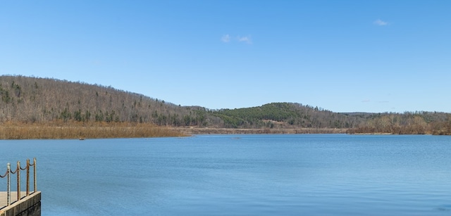 169 Horton Hollow Ln, Tioga, PA 16946 - view of water feature featuring a wooded view and a boat dock