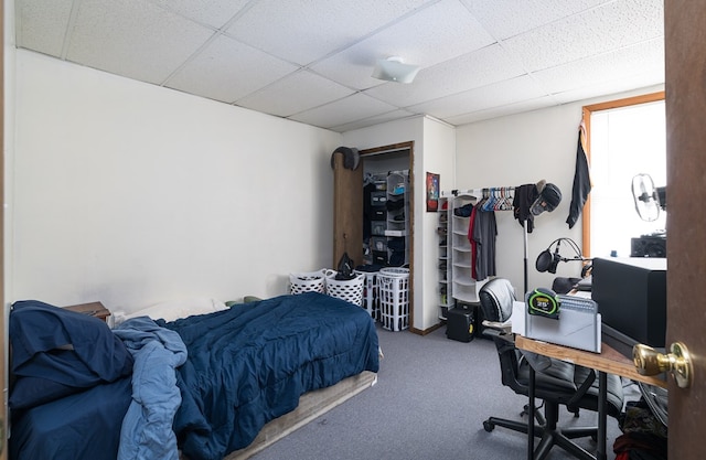 bedroom with carpet floors and a paneled ceiling