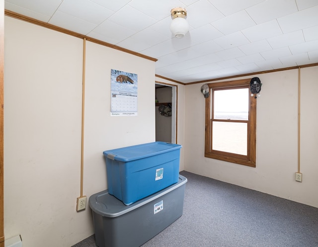 interior space with ornamental molding and carpet