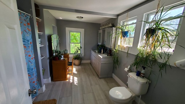 298 Lackawanna Ave, Owego, NY 13827 - bathroom with plenty of natural light, vanity, toilet, and baseboards