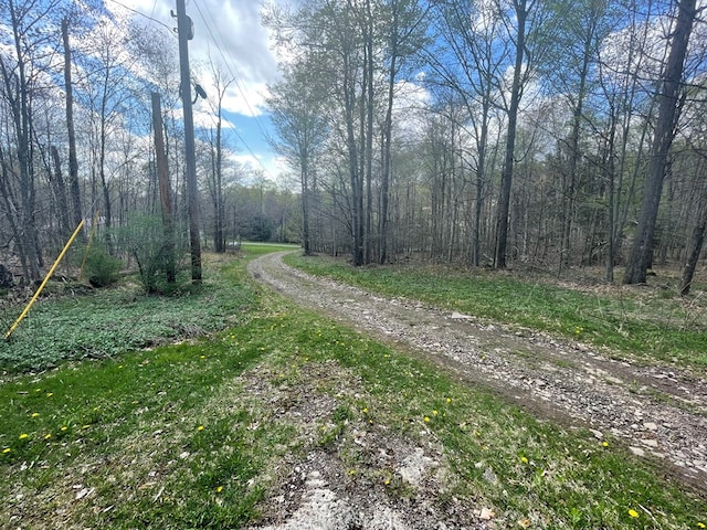 16 Quarry Ln, Galeton, PA 16922 - view of street with a forest view