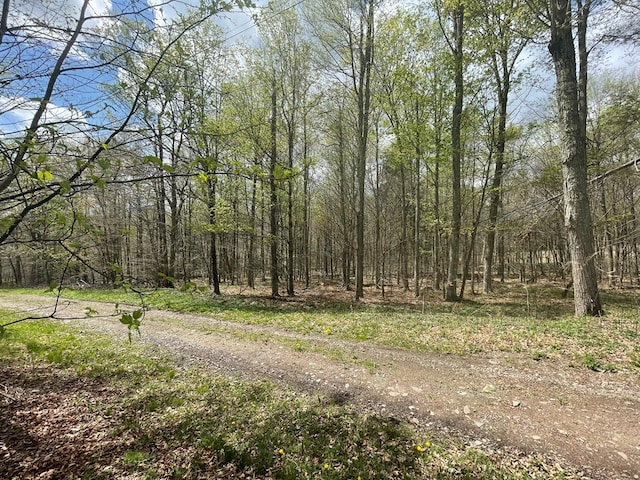 16 Quarry Ln, Galeton, PA 16922 - view of road featuring a view of trees