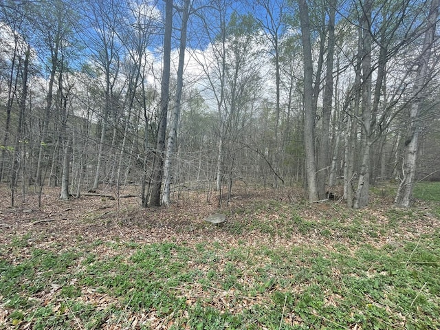 16 Quarry Ln, Galeton, PA 16922 - view of nature featuring a view of trees