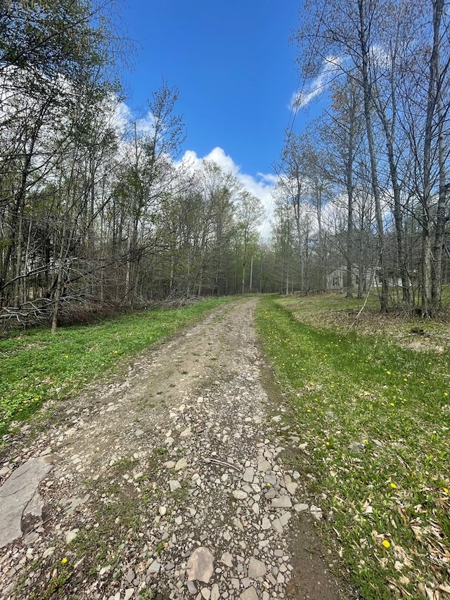16 Quarry Ln, Galeton, PA 16922 - view of street with a wooded view