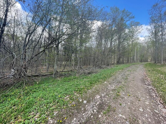 16 Quarry Ln, Galeton, PA 16922 - view of road with a view of trees
