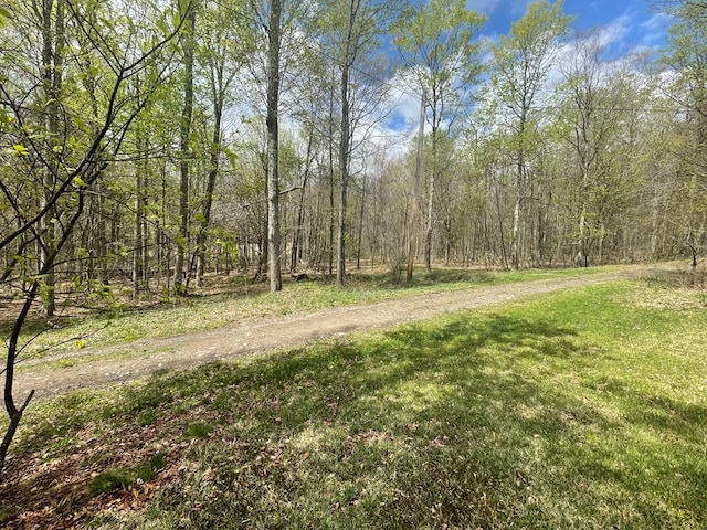 16 Quarry Ln, Galeton, PA 16922 - exterior space featuring a wooded view