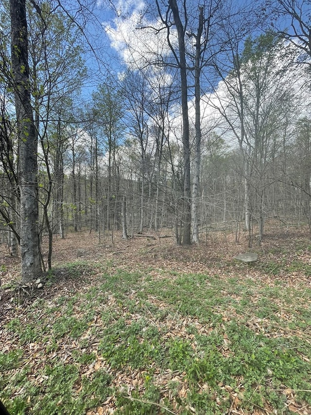 16 Quarry Ln, Galeton, PA 16922 - view of yard with a forest view