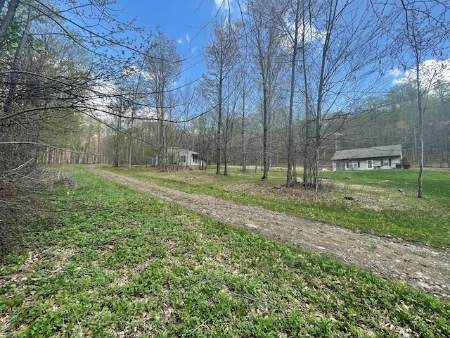 16 Quarry Ln, Galeton, PA 16922 - view of road featuring dirt driveway and a view of trees