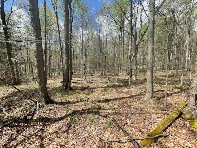 16 Quarry Ln, Galeton, PA 16922 - view of nature