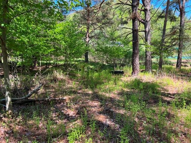 - Clear Creek Road, Emporium, PA 15834 - photo 5