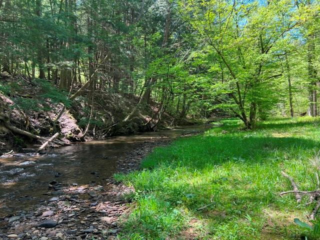 - Clear Creek Road, Emporium, PA 15834 - photo 11