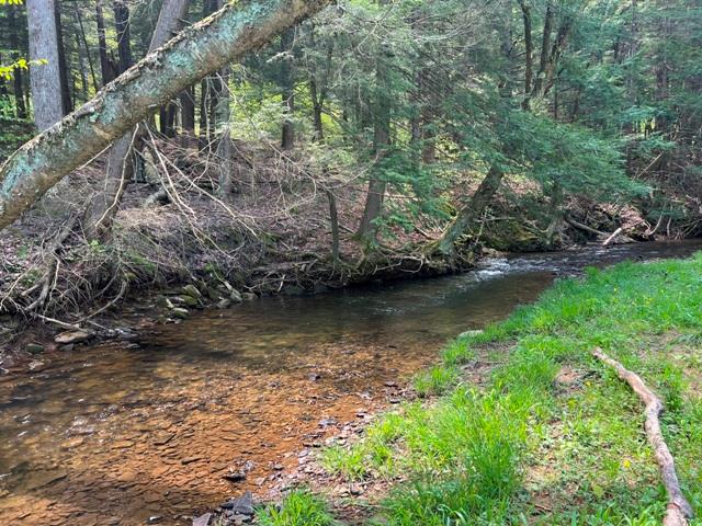 - Clear Creek Road, Emporium, PA 15834 - photo 10