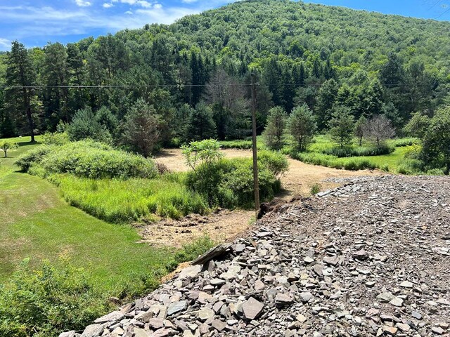 - Clear Creek Road, Emporium, PA 15834 - photo 19
