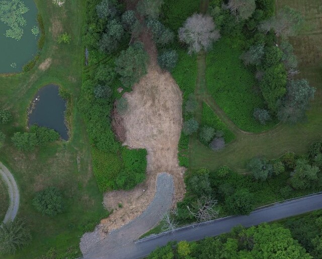 - Clear Creek Road, Emporium, PA 15834 - photo 26
