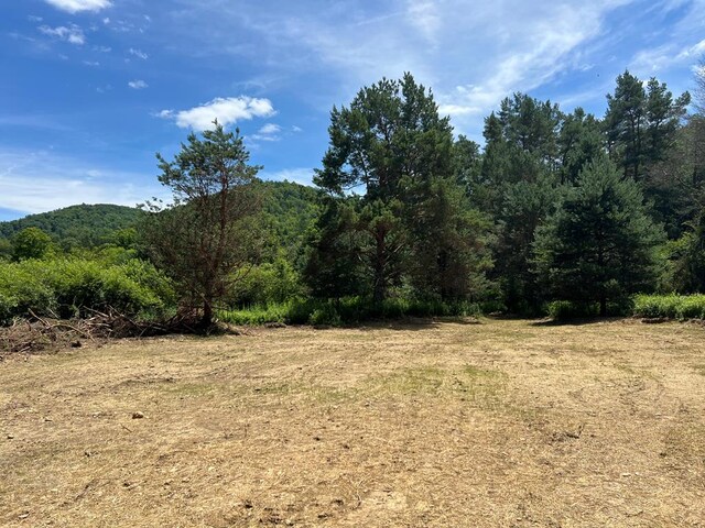- Clear Creek Road, Emporium, PA 15834 - photo 20