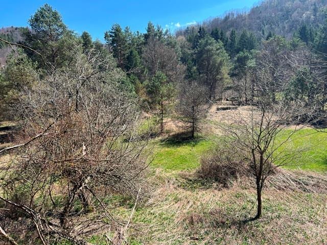 - Clear Creek Road, Emporium, PA 15834 - photo 2
