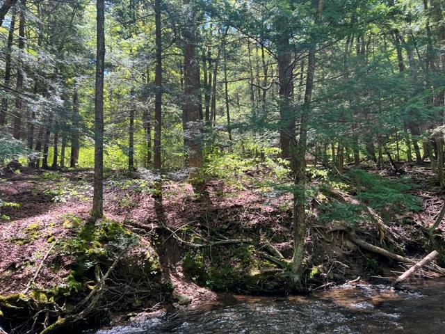 - Clear Creek Road, Emporium, PA 15834 - photo 12