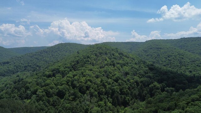 - Clear Creek Road, Emporium, PA 15834 - photo 29