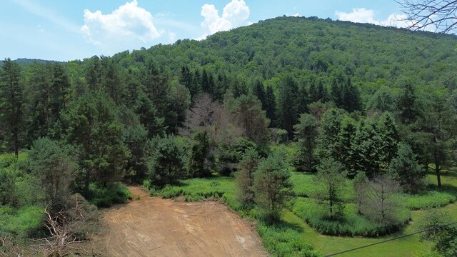 - Clear Creek Road, Emporium, PA 15834 - photo 32